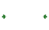 Thames Paddling